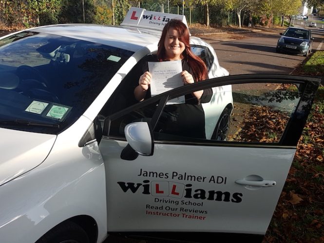 Driving Instructors on Newton Abbot